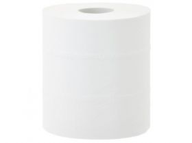 Papírové ručníky v rolích TOP  MAXI, 2 vrstvé, 100% celulosa, délka 156m,  (6rolí/balení)