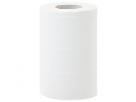 Papírové ručníky v rolích TOP  MINI, 2 vrstvé, 100% celulosa, délka 70 m, (12rolí/balení)