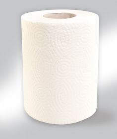 Papírové ručníky v rolích MINI, 2 - vrst., 100% celulóza, 50 m, 12 rolí / bal.