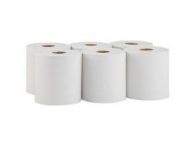 Papírové ručníky v rolích ECONOMY FLEXI MINI, bílé,17 cm, délka 210 m, 1-vrst,  6 rolí/bal