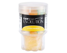 Vklad do osvěžovače vzduchu V SOLID EVOLUTION CITRUS MANGO