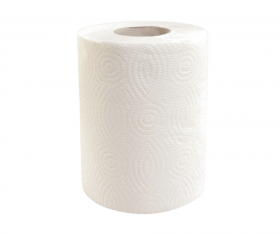 Papírové ručníky v rolích MINI, 2 - vrst., 100% celulóza, 50 m, 12 rolí / bal.