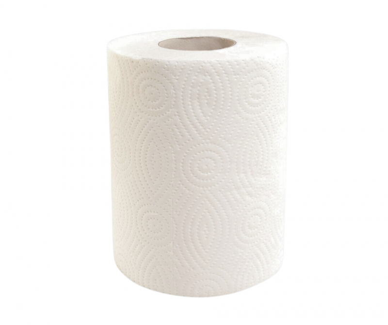 Papírové ručníky v rolích MINI, 2 - vrst., 100% celulóza, 50 m, 12 rolí / bal.