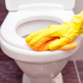 TORK 425302 – Mini čistič WC sedátek S5, 8 x 525 ml - Karton