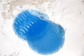 SLANT – Cotton Blossom