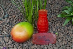 WAVE 2.0 – Mango (2ks/bal.)